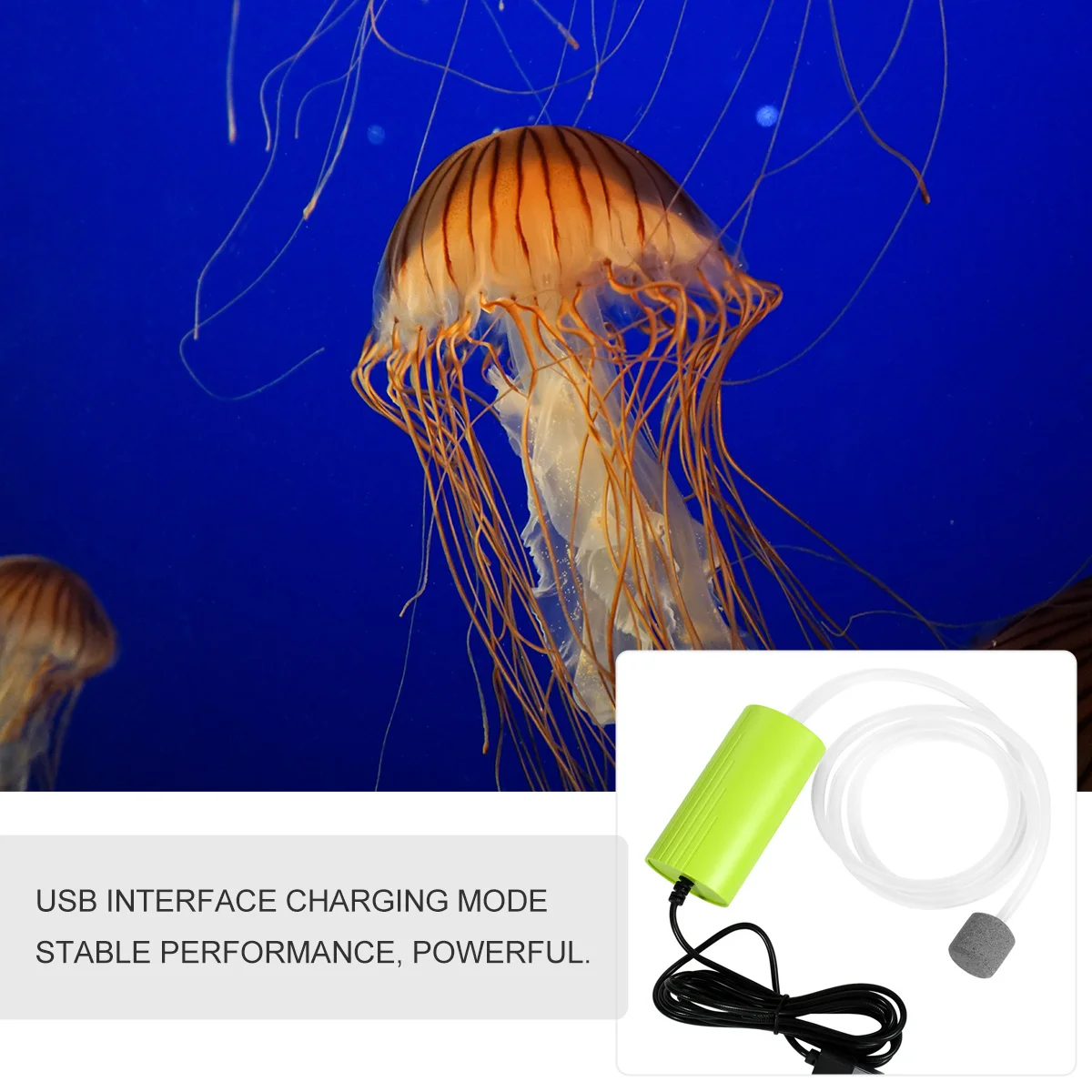 

Silent Mini USB Oxygen Pump Portable Aquarium Air Pump Fish Tank Air Stone USB Charging for Home Outdoor Fishing Ultra Quiet