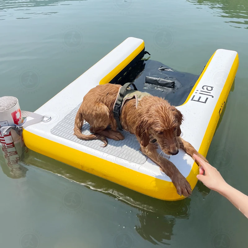New Design DWF Floating Exit Ramp Pontoon Boat Dog Boat Ladders Pool Steps Boat Water Ladders for Dogs