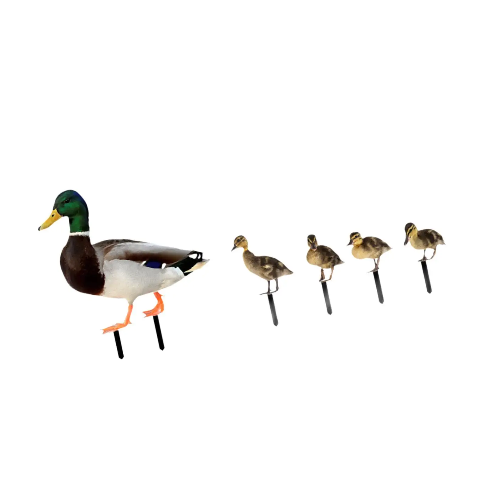 5Pcs Duck Statues Garden Stakes Animal Sculptures Decorative Figurines Yard Art for Lawn Pathway Courtyard Patio Backyard