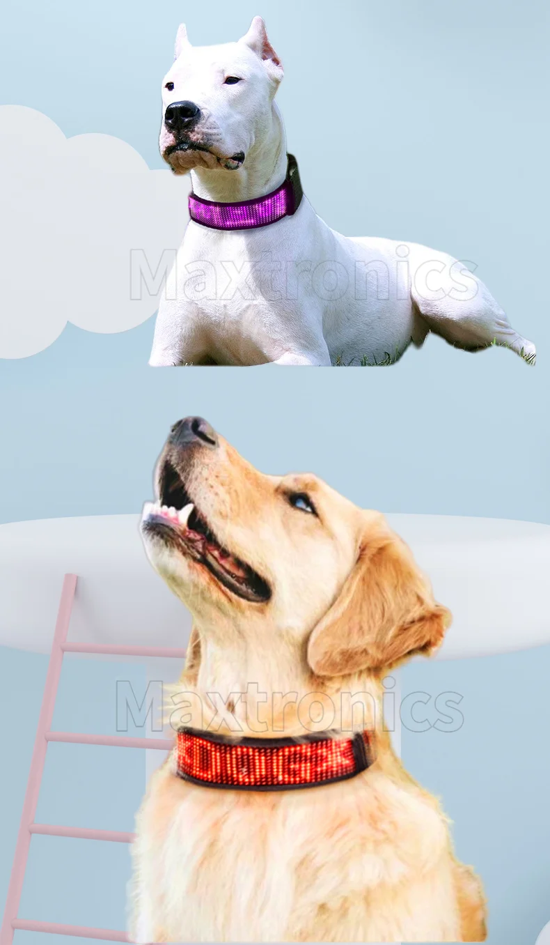 New RGB Pet LED Dog Collars USB Rechargeable Multilingual Flashing Light Up Screen Dog Collar Safe Luminous  Necklace Adjustable