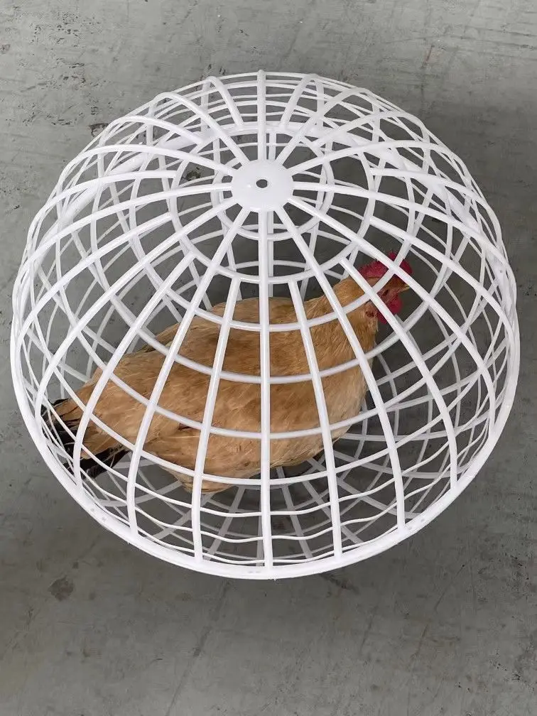

Rolling Circular Cage Ball Type Walking Chicken Ball Type Chicken Rabbit Cage Small Animal Protection Cage