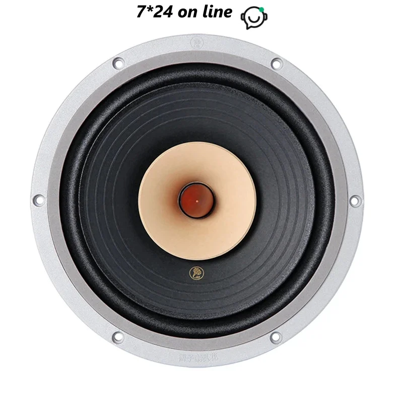 

LII AUDIO HIFI FAST-10 Full Frequency Speaker 10 Inch 8ohm/40-60W Unit (1PCS)