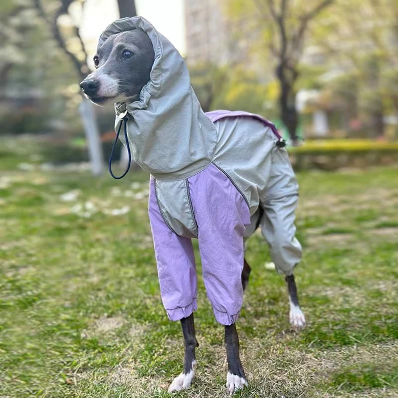 Italian Greyhound Whippet Raincoat | Lightweight Iggy Clothing | Colorful Waterproof, Rainproof, Windproof Jacket in