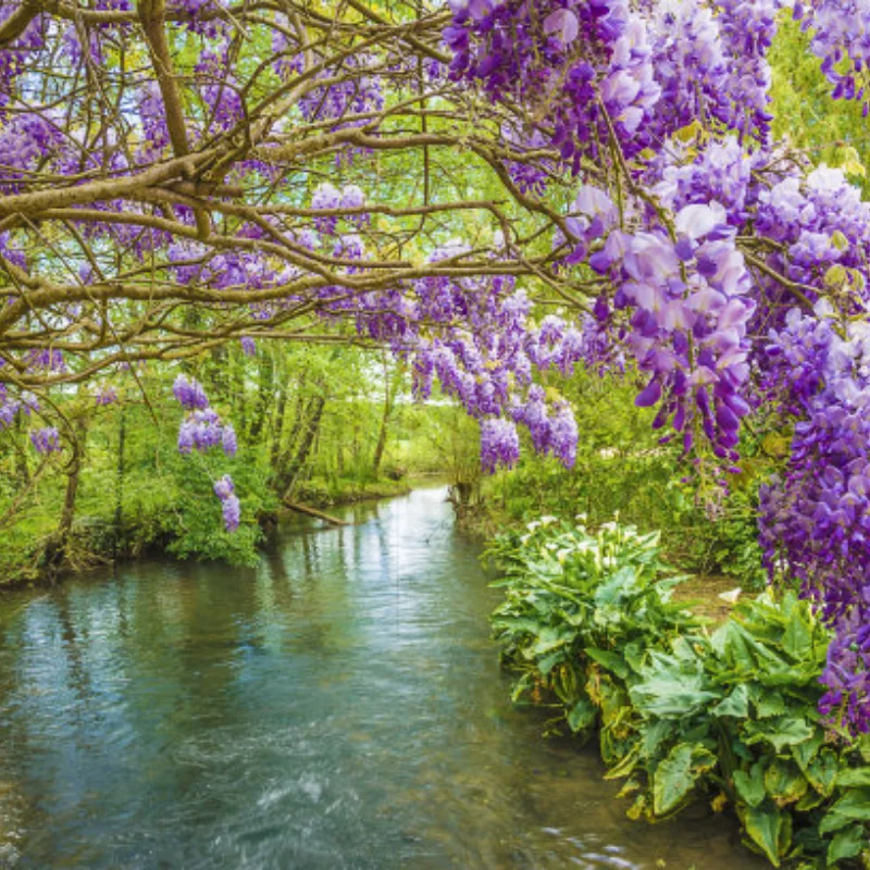

1:10 RC модель автомобиля с дистанционным управлением, грузовик с коротким ходом, шины для внедорожников, багги, колеса, колеса Huanqi 727, детали REMO