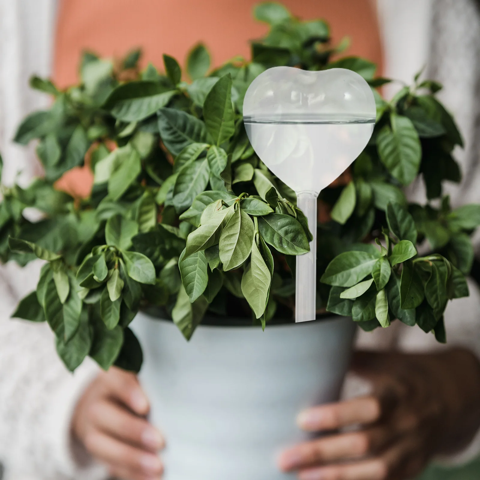 جهاز سقي أوتوماتيكي لمبة سقي ذاتية زجاجية للنباتات أداة ري حديقة الزهور بالتنقيط لوازم البستنة #6