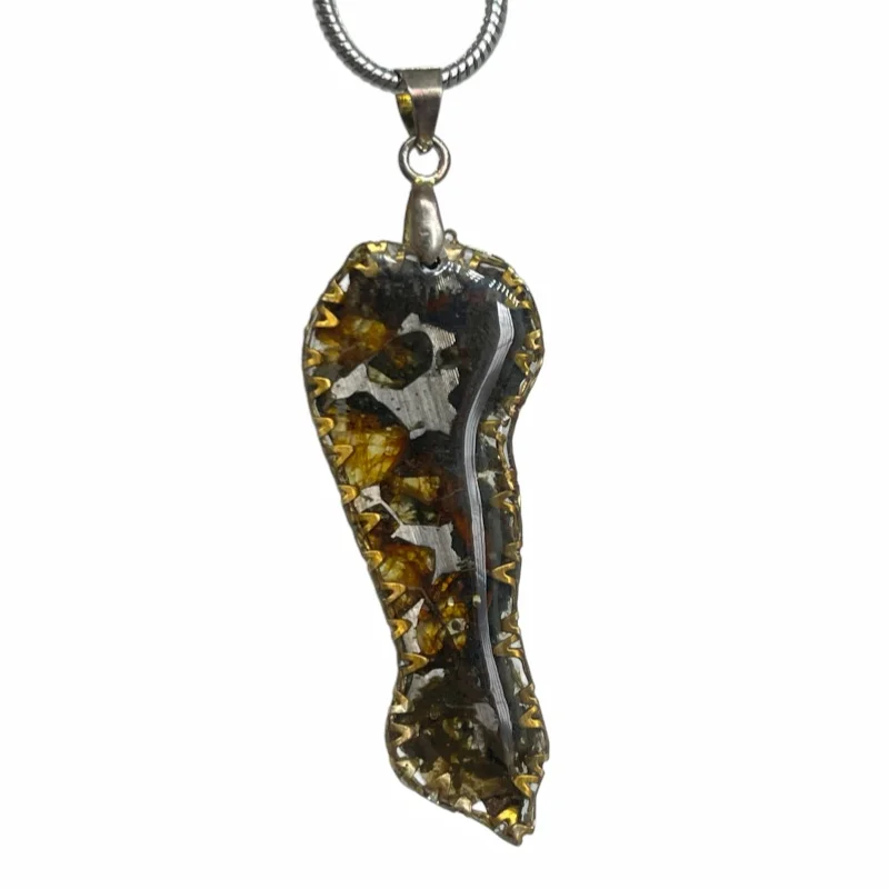 Sericho Pallasite Meteorite Pendant Freeform Slice Gold Tone Edge Olivine Crystal Outer Space Rock Necklace TB325