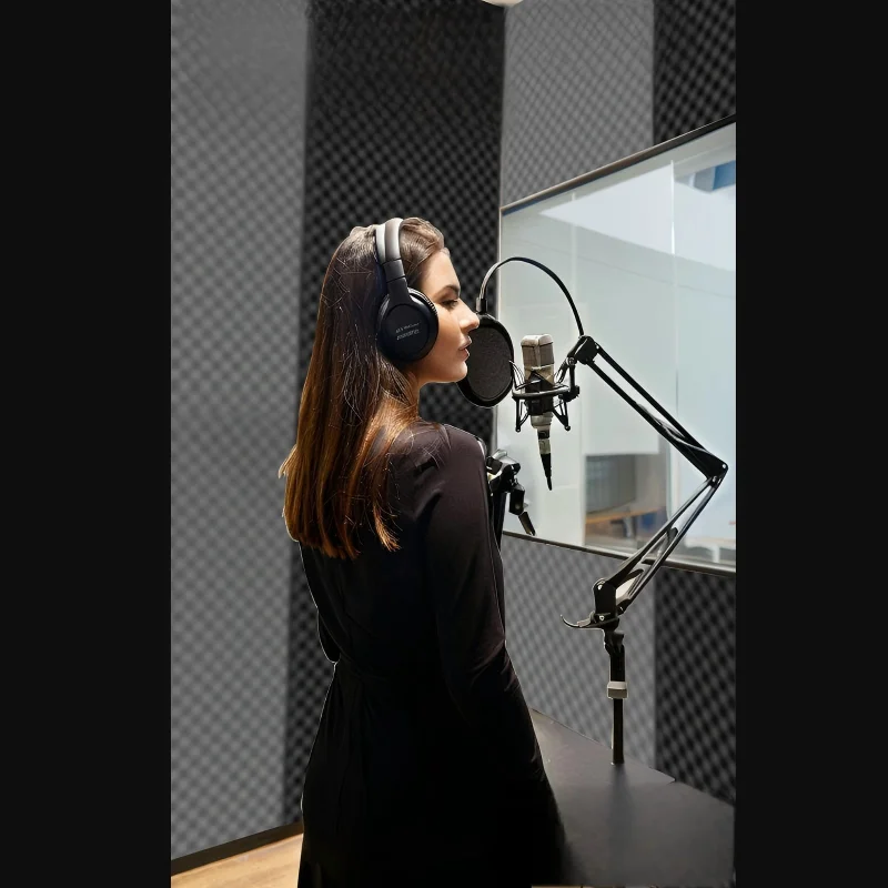 Pannello fonoassorbente Pannelli acustici acustici Cuscinetti smorzanti Barriera sonora impermeabile Imbottitura autoadesiva fonoassorbente Car Studio