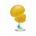 Yellow jellyfish