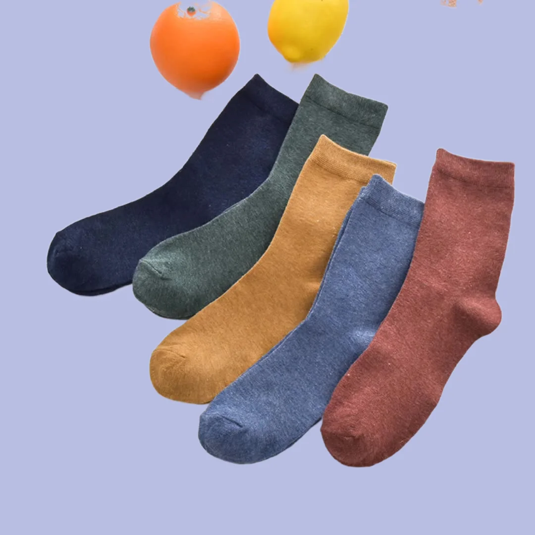 Chaussettes rétro en coton pour hommes d'affaires, tube moyen, simple, japonais, printemps, été, document solide, 5/10 paires, ins