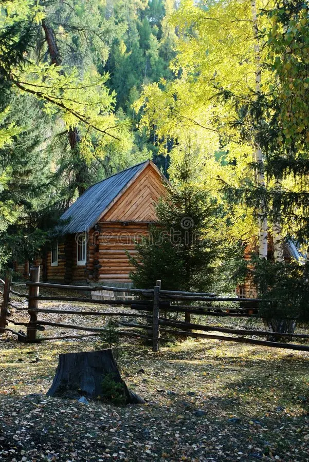 

4Pcs Metal Differential Cup Diff Cup 104001-1943 for Wltoys 104001 1/10 RC Car Spare Parts Accessories