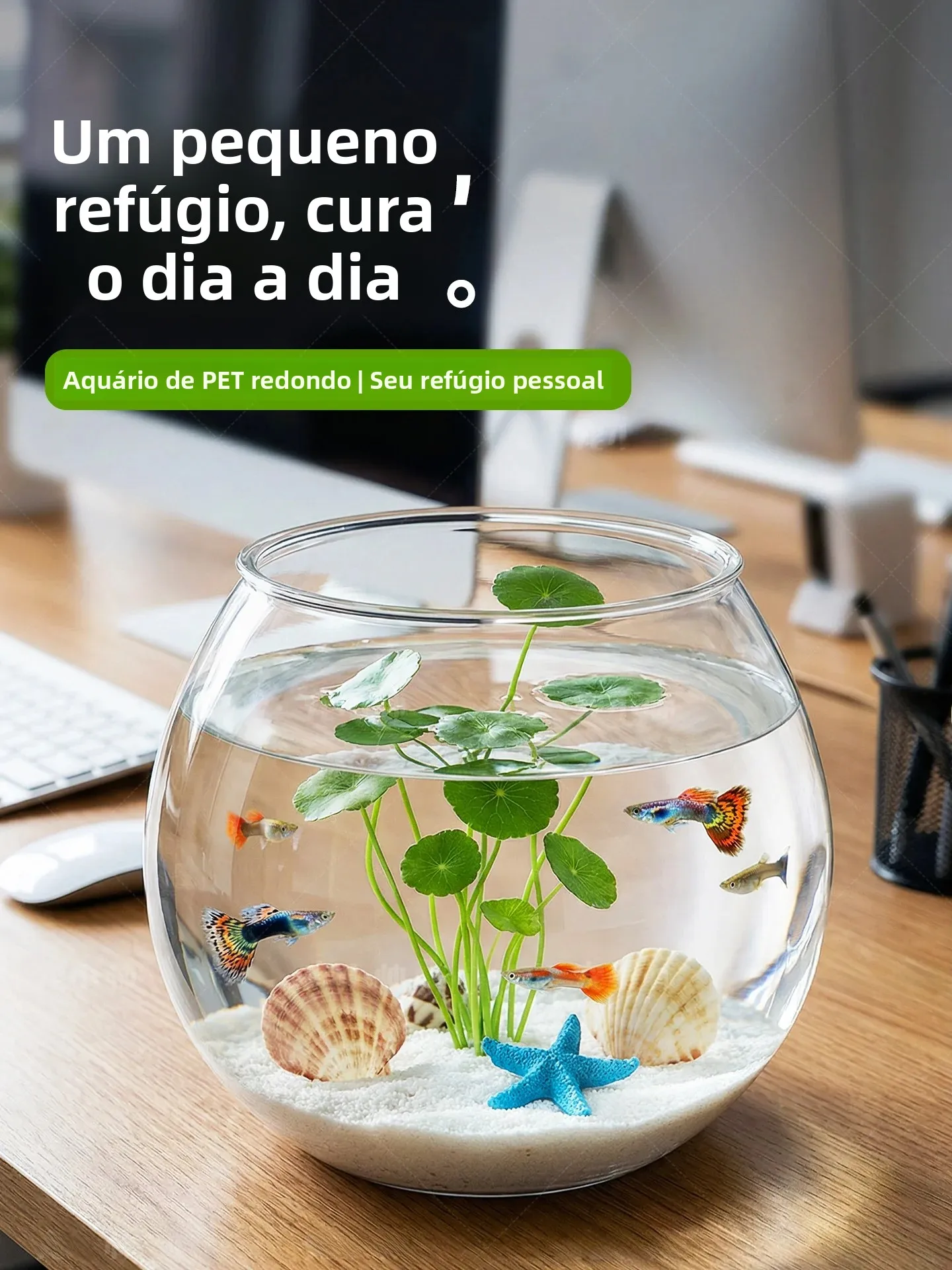 aquarium-rond-en-verre-nouveau-modele-haute-transparence-resistant-aux-chocs-eco-paysage-aquarium-de-bureau-pour-salon-integre