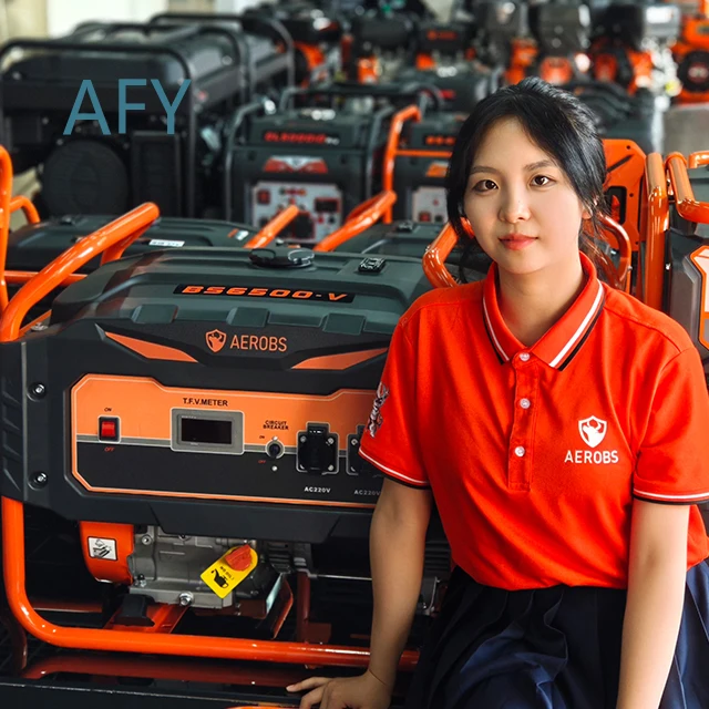 5000W Portable Generator for BS6500-V 5kVA Electric Start Power Dynamo for China Market Heavy Duty Inverter Generator Outdoor