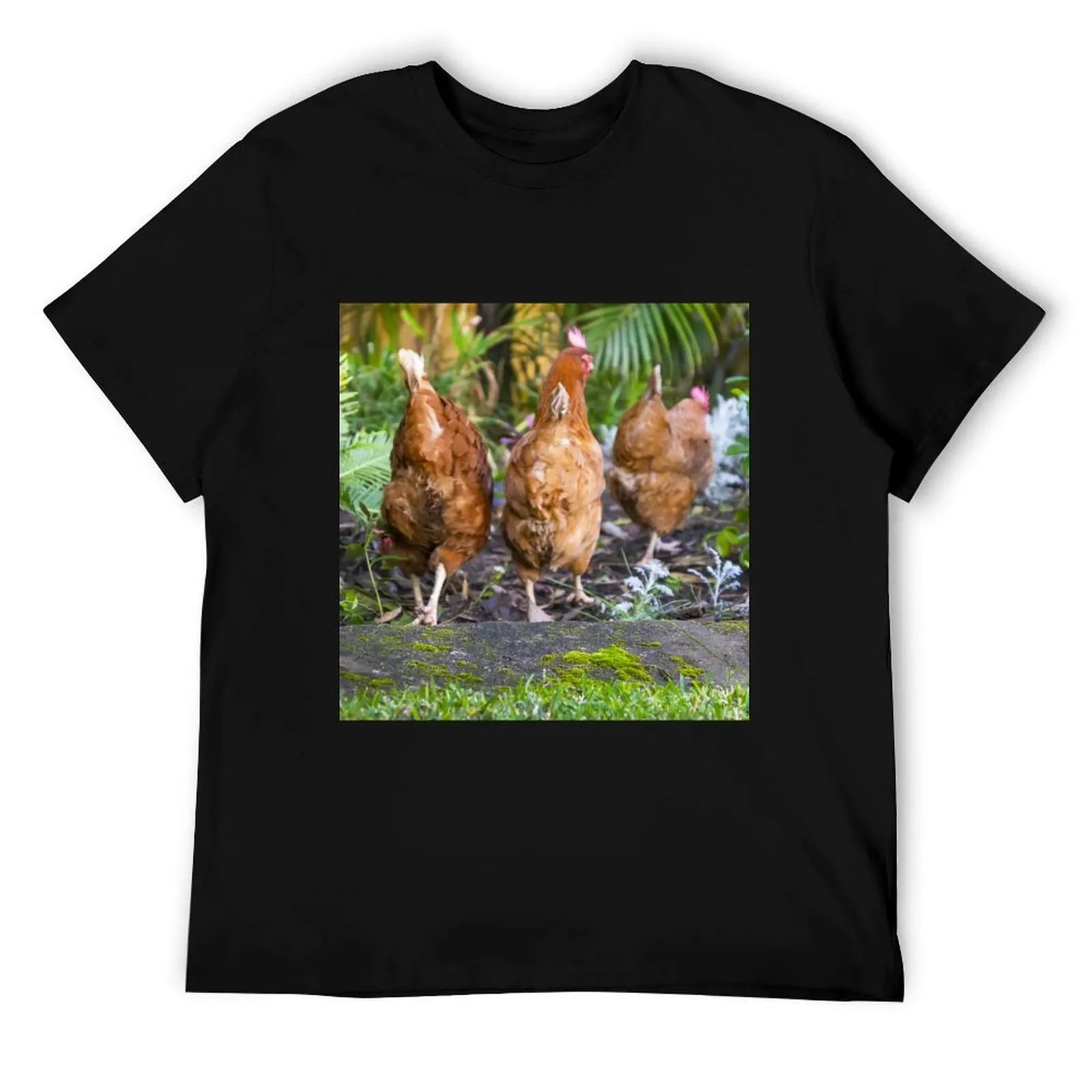 

Feather Friends Collection - Chicken Bottoms T-Shirt t shirts cotton 100% graphic t shirts for man T-Shirt