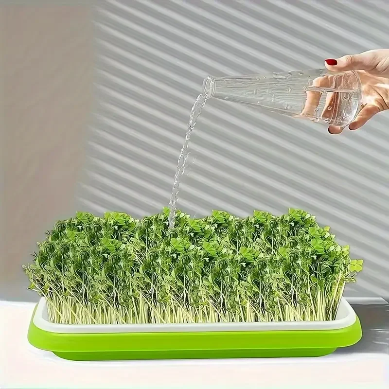 

Seedling tray suit, soilless garden germination tray, vegetable bean sprout planting tool, plant culture tray