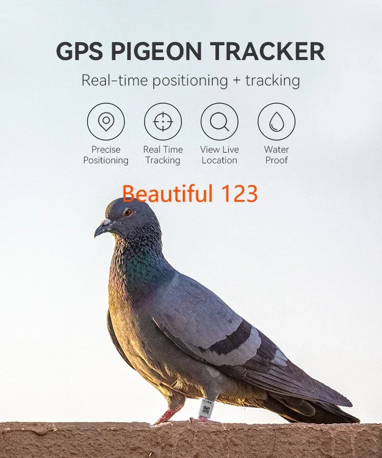 1pcs Parrot Bird GPS Tracking Ring 110mAh White Racing Pigeon Inner 10.8mm Yorkshire Canary Position Tracker Devide