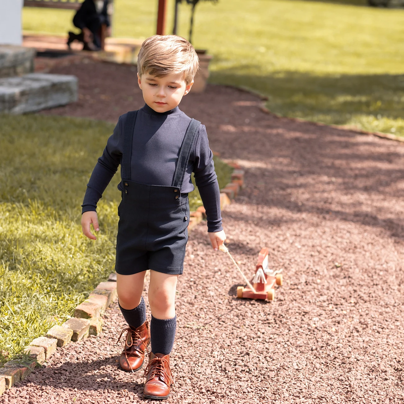 Рисунок 5 - AP AW25 Сапфировая коллекция