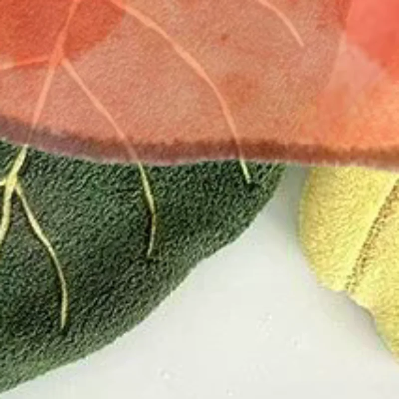 

Soft Double-layer Leaf Style Hand Towel Thickened Absorbent Hanging Hand Cloth Speed Dry Handkerchief Rag