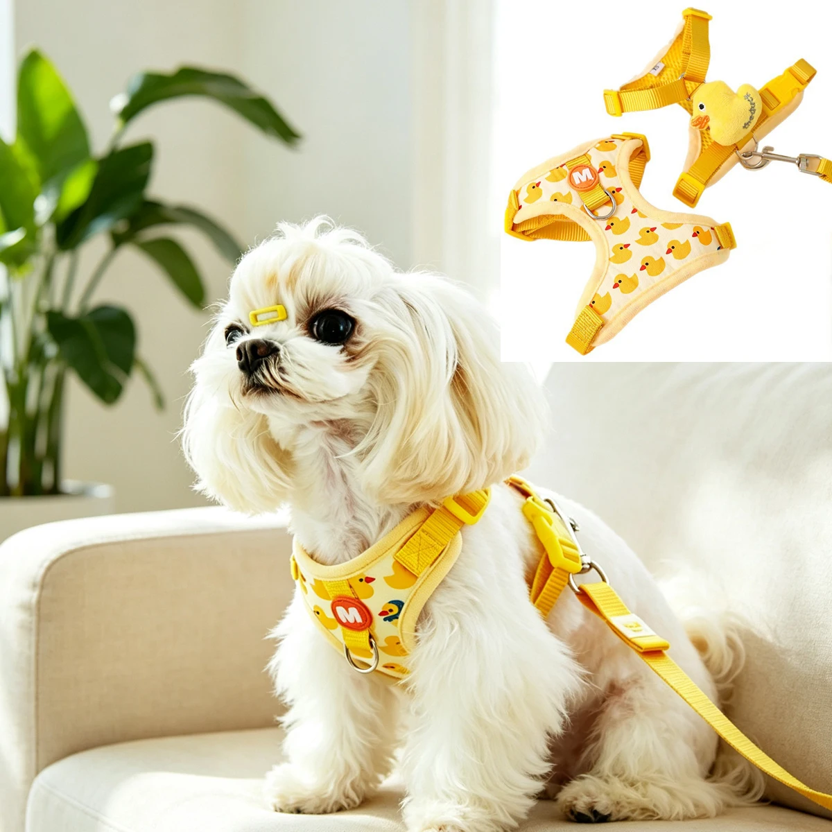 Arnés y Correa para Cachorros Pequeños, Arnés para Perros, Correa, Collar para Perro, Accesorios Anti-Escape, Arnés de Pecho para Mascotas