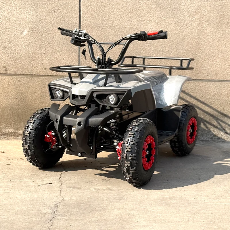 

Mini Electric Quad Bike ATV for Kids with Automatic Transmission Chain Drive 500-800W Power 50Km/h Speed