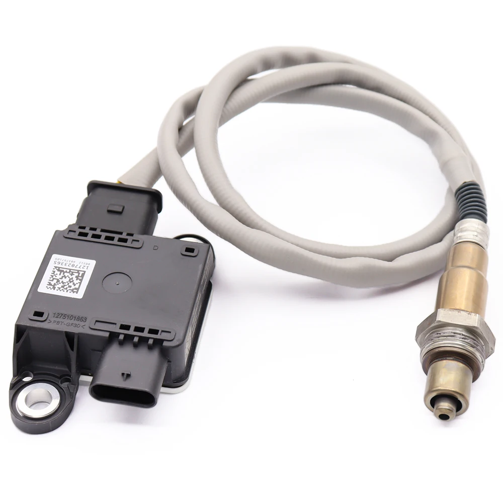 Augala Particulate …