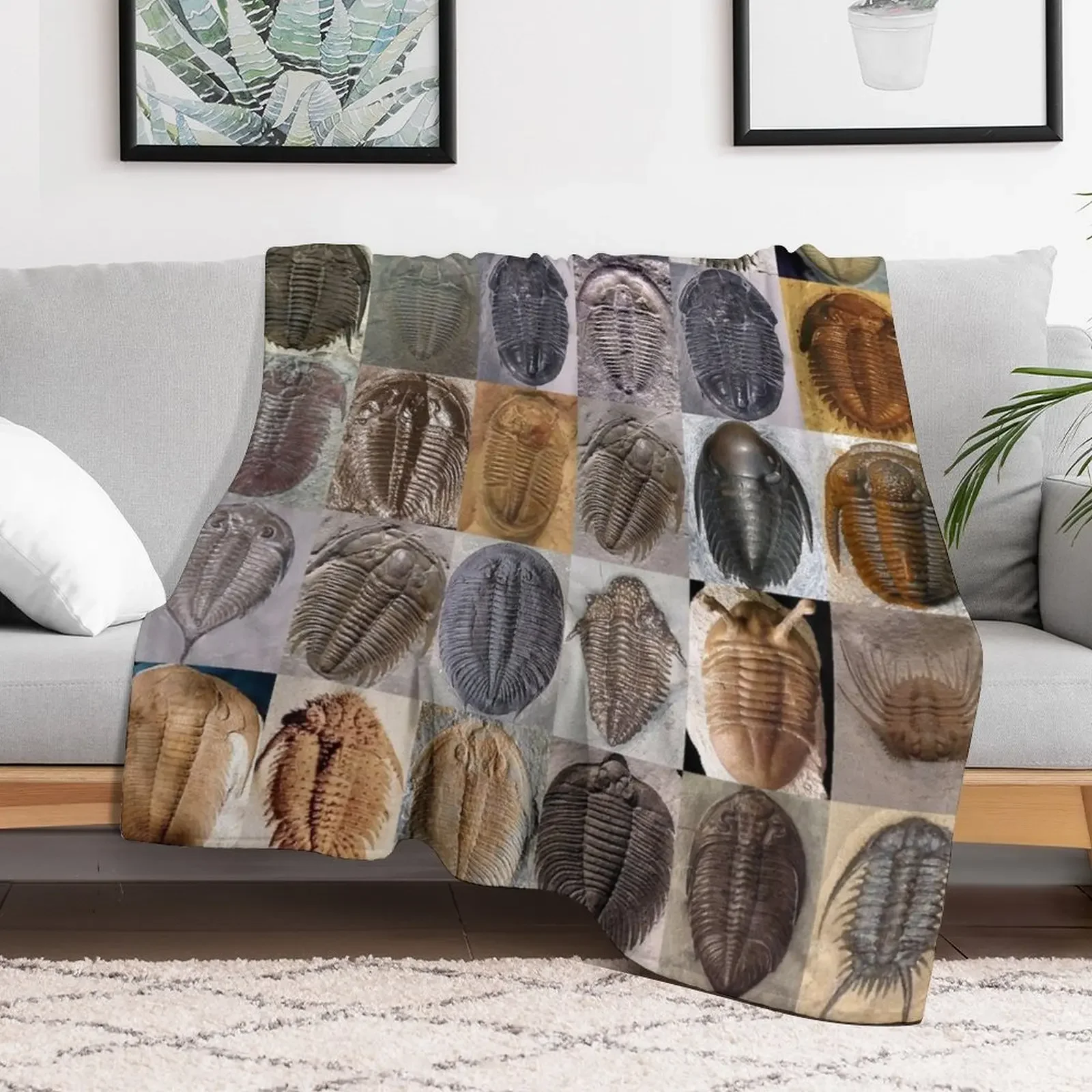 Trilobites Throw Blanket for babies Luxury Blankets