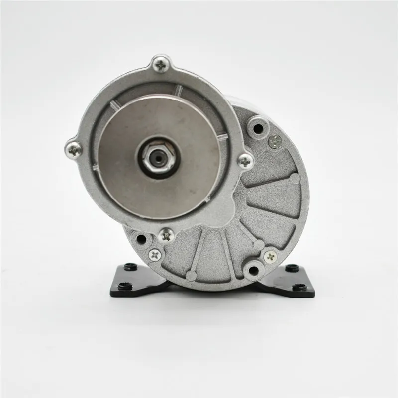 250W 350W 12V 24V 36V MY1016Z2 MY1016Z3 DC Gear Brushed Motor With Belt Pulley, Electric Tricycle Electric Bicycle Motor