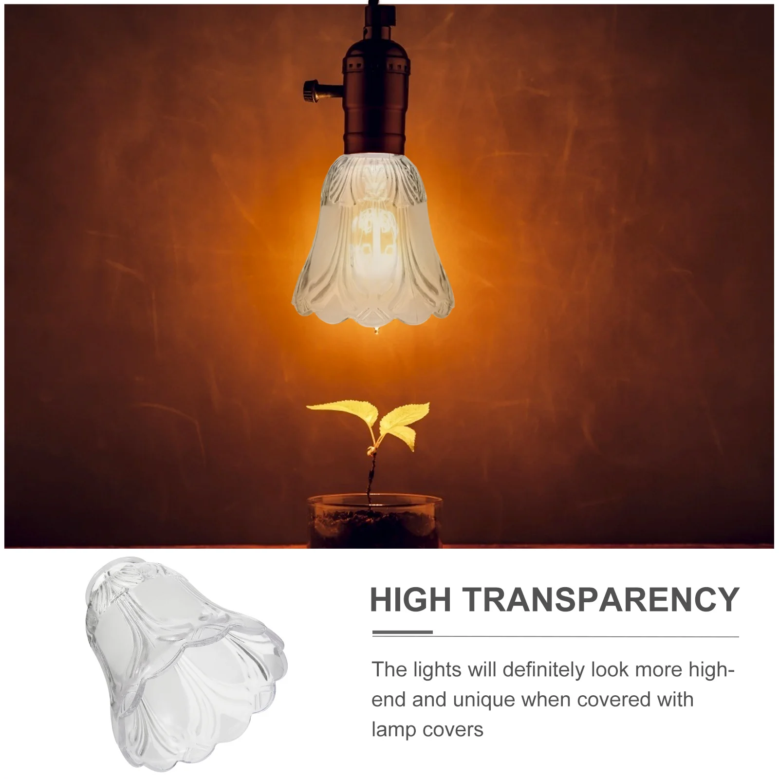 

2Pcs High Transparency Smooth Surface Glass Light Covers Exquisite Patterns Chandelier Decoration Dust Prevention Creative