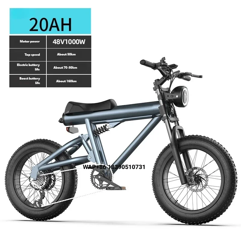 Electric Mountain Bike Beach Motorcycle 20" Magnesium Alloy Frame 7-Speed Hydraulic Disc Brakes 1000W Brushless Motor 48V 20AH