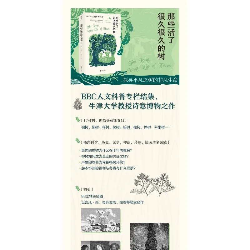 Picture 4: Those trees that have lived for a very long time ：Exploring the extraordinary life of an ordinary tree Popular Science Book
