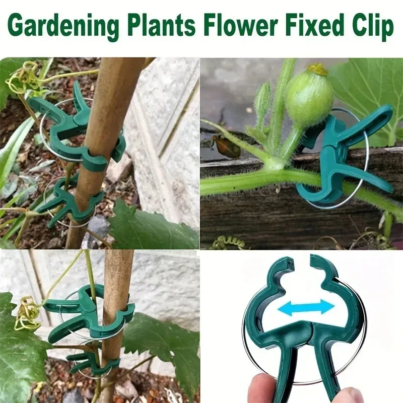 Plastic Plant Support Clips Horticulture Kit for Phalaenopsis Tomato Vine Fixation Gentle Stem Fastener Prevent Branch Breakage