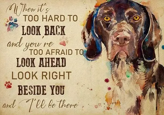 Metal Sign German Shorthaired Pointer When It's Too Hard to Look Back Retro Sign Vintage Aluminum Tin Sign For Home Office  sign