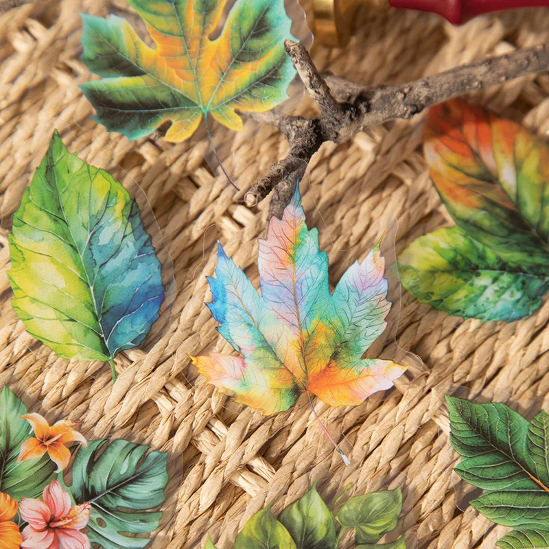 15Pcs/Lot Kawaii St…