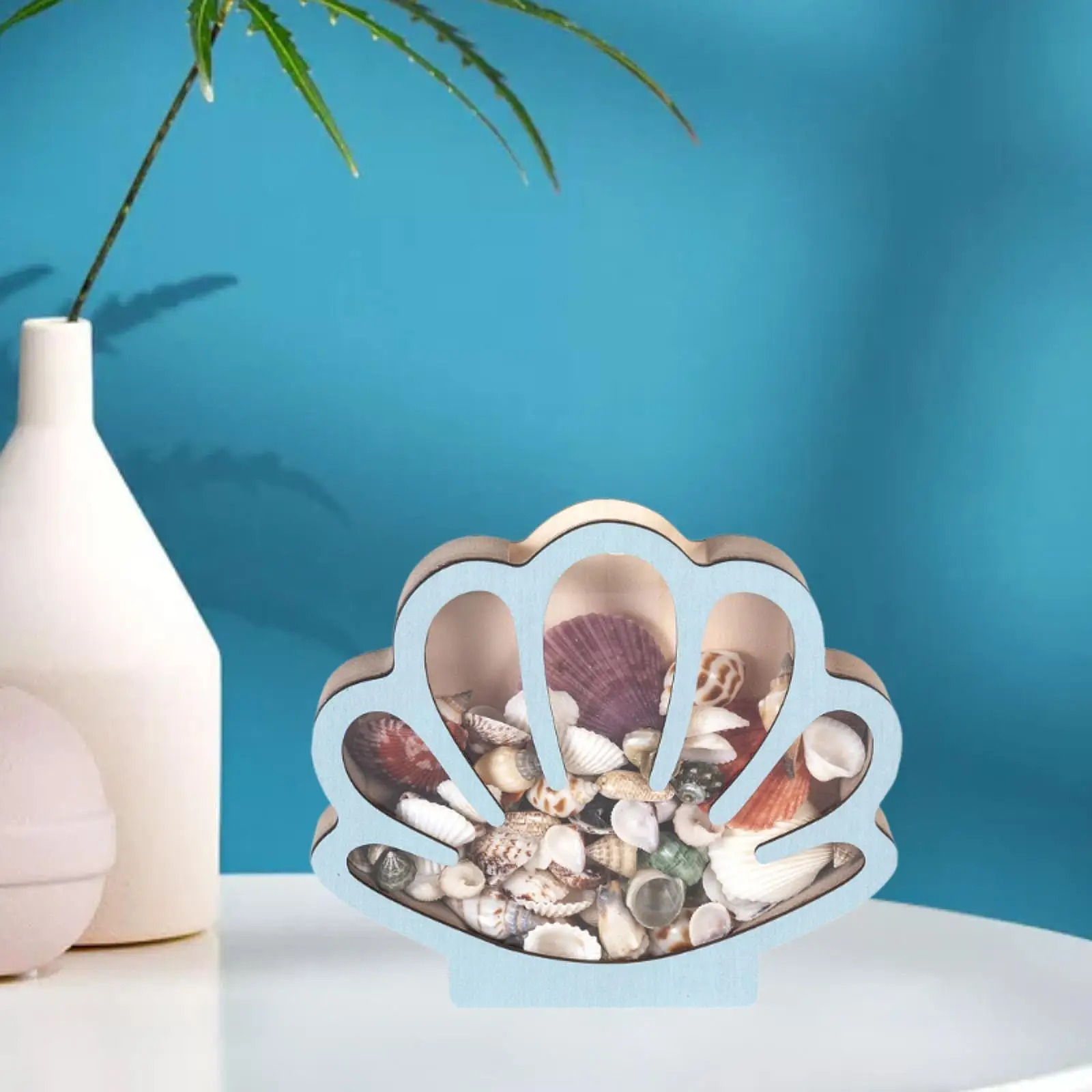 Wood Shell Display Box Decorative Decoration Collector Stones Collectible Money