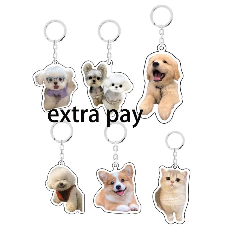 VIP Special Supply Pay Link