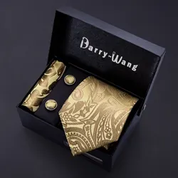 Barry Wang Gold Tie for Men, Paisley Silk Tie, Pocket Square Gift Box Set, Designer de luxo Neck Tie, Gravat de casamento masculino, BB-5150