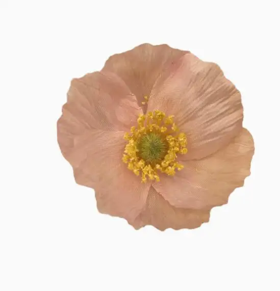 

6 Pcs Flower Hairpin Elegant Pins Flowers Festival Headwear Fancy Clips Women Fabric Decorative Miss
