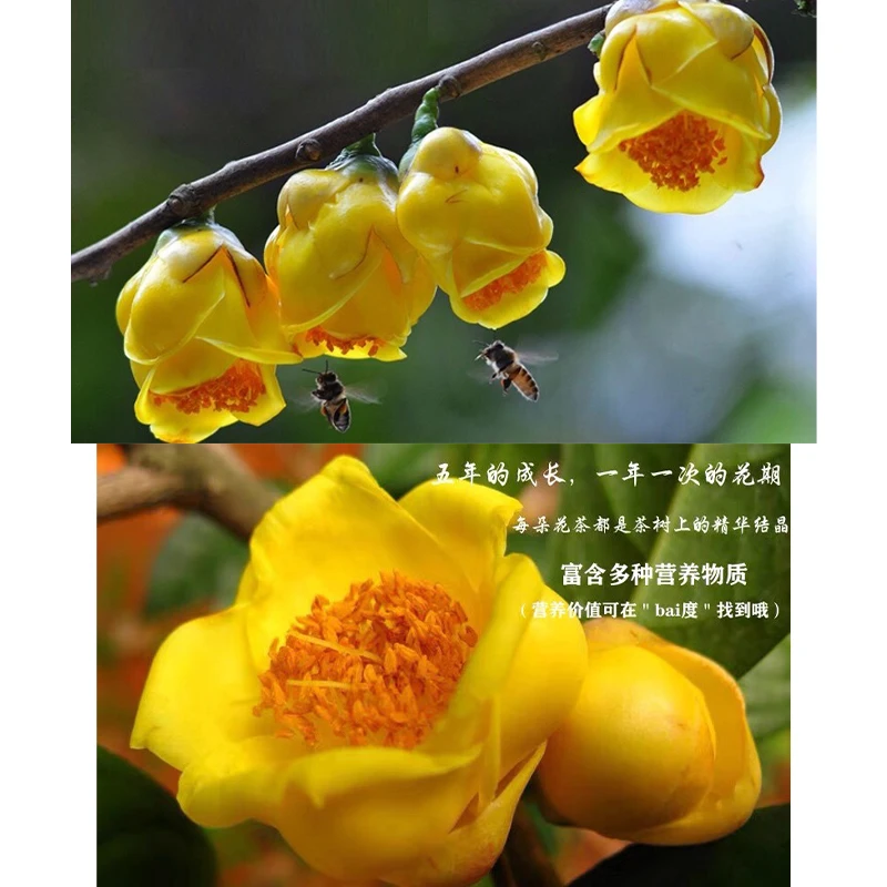 100% Natural Golden Flower Dried Flower For Sachet Pillow Filling Organic Golden Flower Petal Beauty Bathing Soap Candle Making