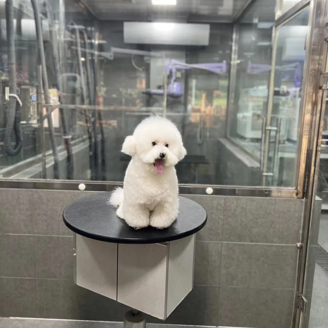 

Attractive Design Pet Dog Grooming Table Hydraulic Portable Pet Dog Trimming Table with Cabinet