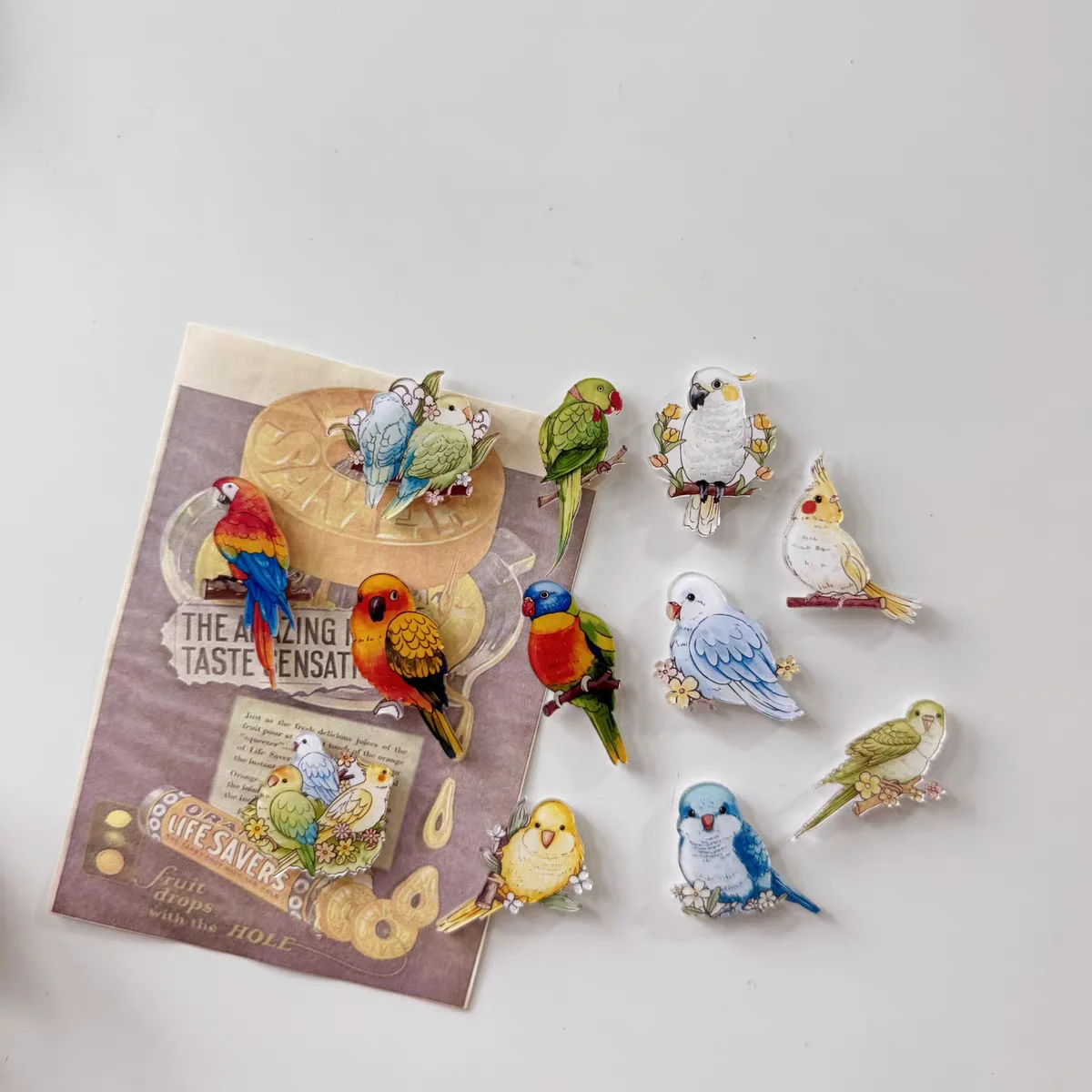 6pcs Cute Parrot Refrigerator Magnets, Kawaii Parrot Refrigerator Magnets
