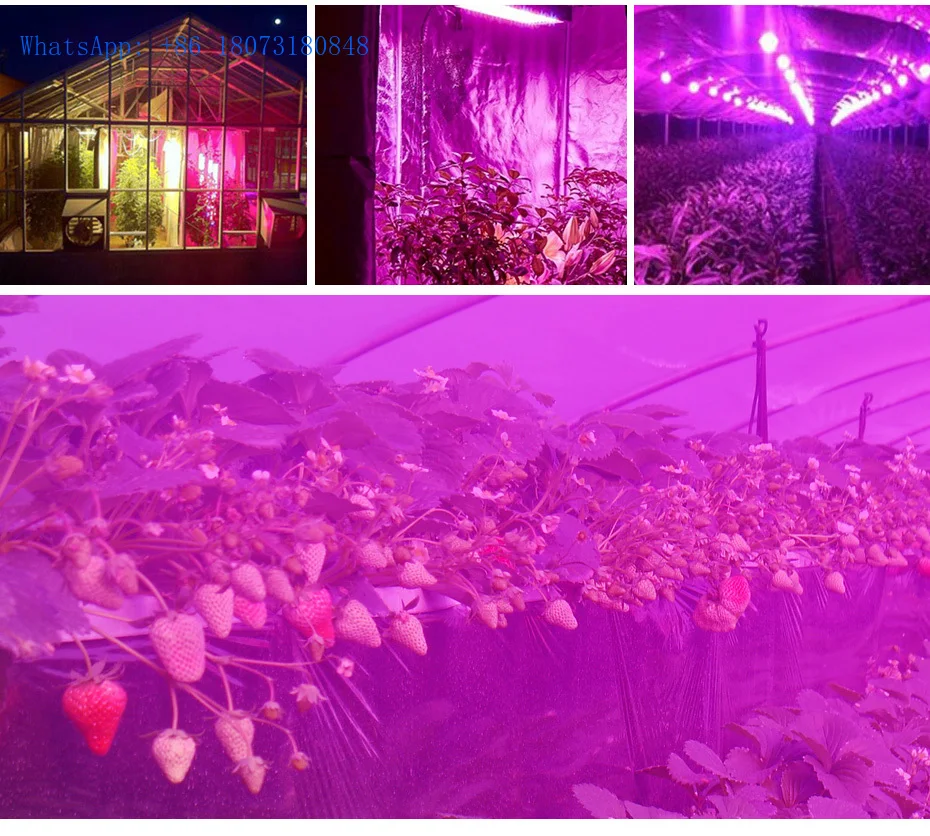 ขายร้อน 50W Plant Growth ต้นกล้ารอบ UFO สําหรับ Hydroponics สําหรับในร่มโคมไฟแผง UV IR หลอดไฟ 250 LEDs