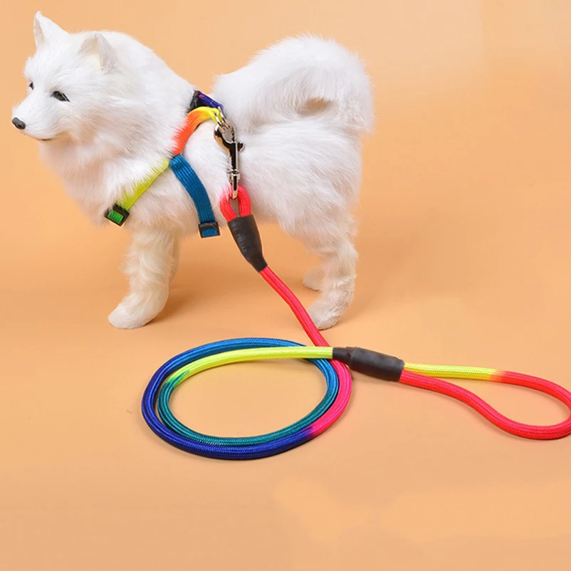 Traction leash pet supplies small and medium-sized dog 1.2m dog walking leash fashionable colorful nylon round leash
