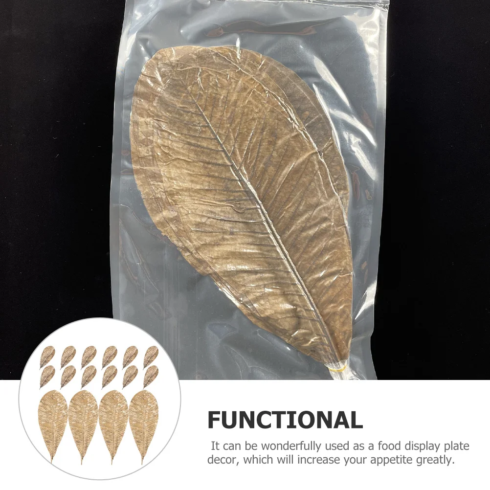 

20pcs Japanese Dried Magnolia Leaf Props Natural Sushi Sashimi Plate Decor Food Photography Backdrop Kitchen Bar Serving Tray