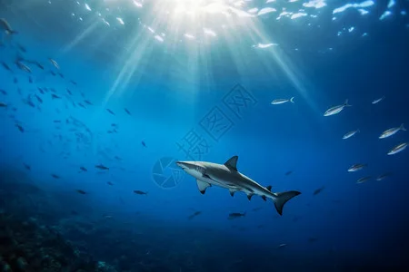 

Дорожный барьер для гоночной трассы DIY, дизайн для дрифтинга, 6.2*1.8*2.5 см