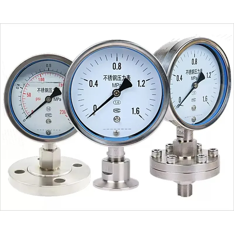 

YTP-100 Flange Pressure Gauge High Quality Product in the Category of Pressure Gauges