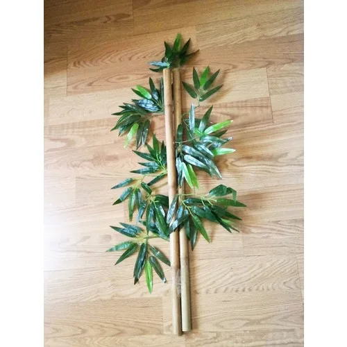 Bamboo 2 Pcs Thick Shank Bamboo Tree 80 cm Size Bamboo Tree Flower