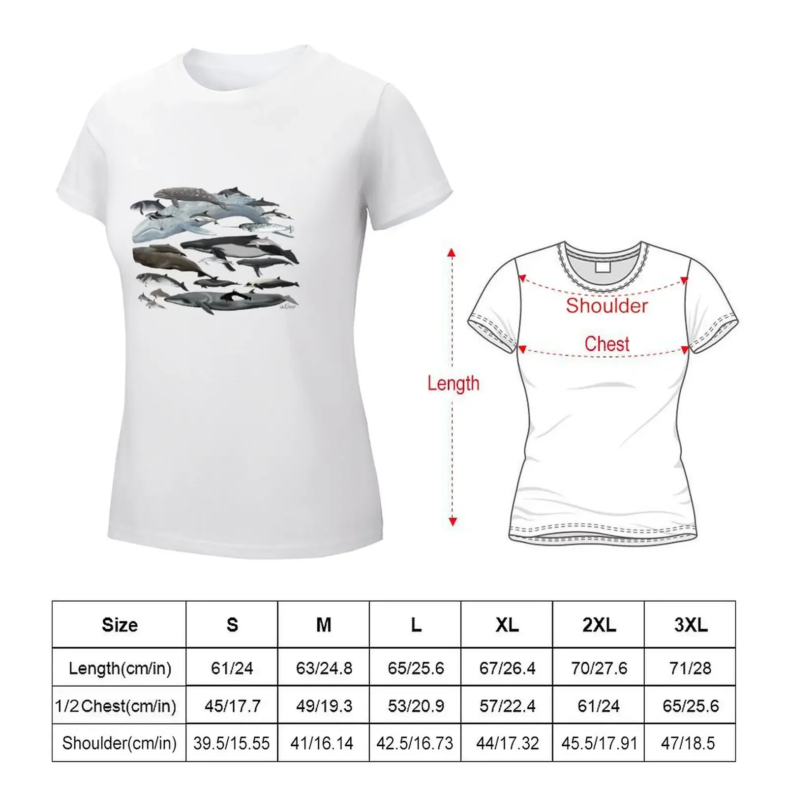 Cetaceans T-shirt Female clothing summer top oversized workout shirts for Women