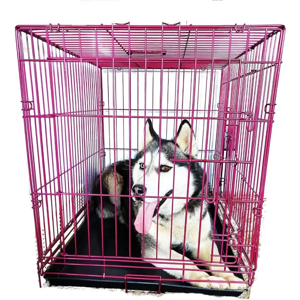 Luxury Colorful 48 Inch Foldable Dog Crate With 2 Doors | Free Training Ebook and Pet Calming Music | 3 Colors & 3 Freight Free