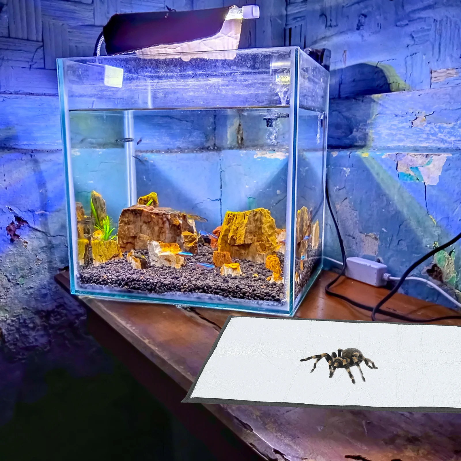 

Reptile Heating Pad Waterproof Self Warming Heat Mat Cushion for Lizard Gecko Snake Tortoise Hermit Crab Reptile Heating Pad