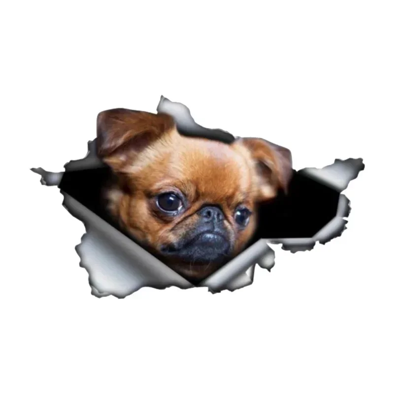 

Personality PVC Decal Brussels Griffon Dog 3D Pet Animal Wear resistant Waterproof Car Sticker on Motorcycle Laptop Decorative