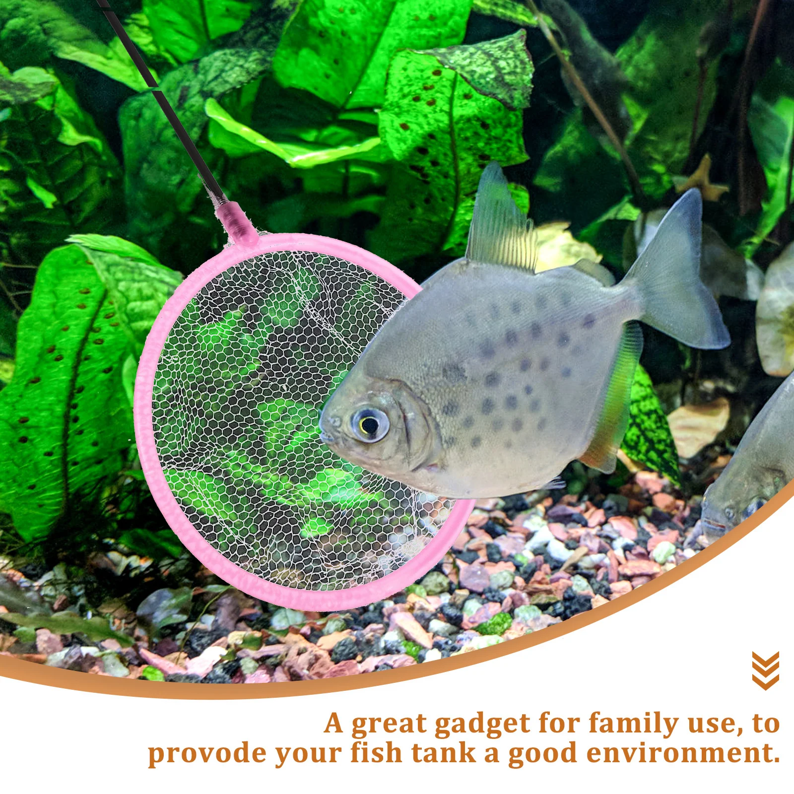 

20 pcs Fish Tank Net Thickened Handle Anti-Slip For Aquarium Cleaning Tools Fish Catching Gadget Fishing Net Aquarium